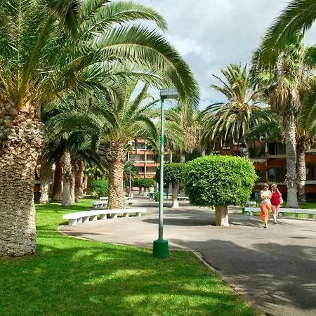 Garden View In * Las Galletas